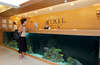 Piril Hotel 